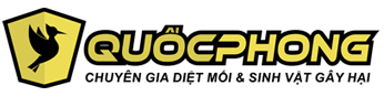Diệt Mối Quốc Phong